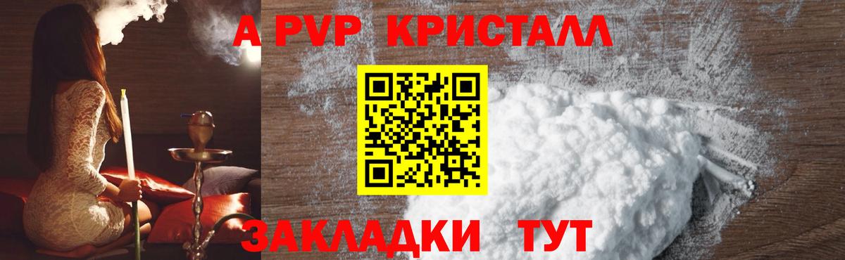 A-PVP СК КРИС Пенза