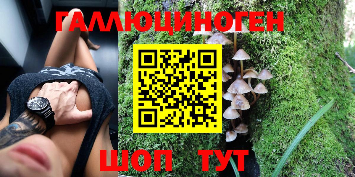 Псилоцибиновые грибы прущие грибы Пенза