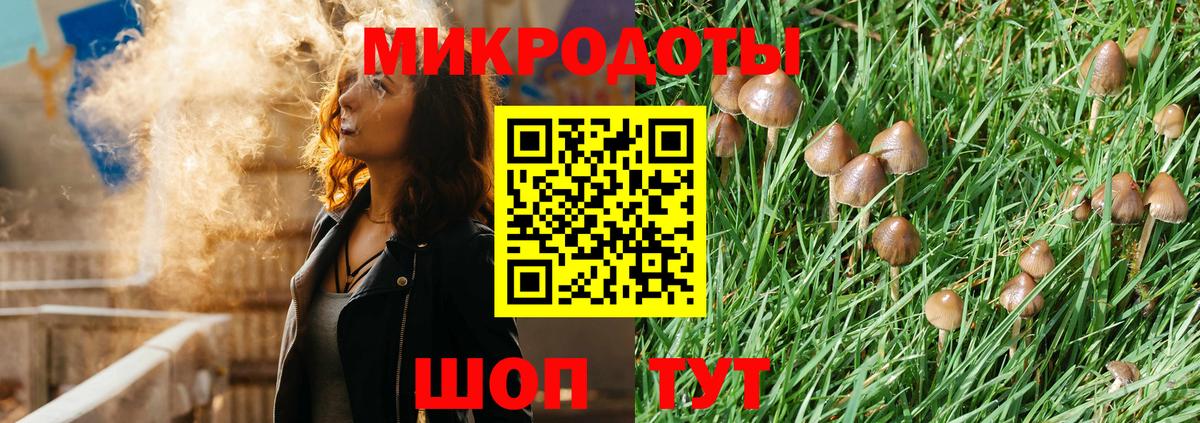 Галлюциногенные грибы мухоморы  Вход с VPN  Пенза 